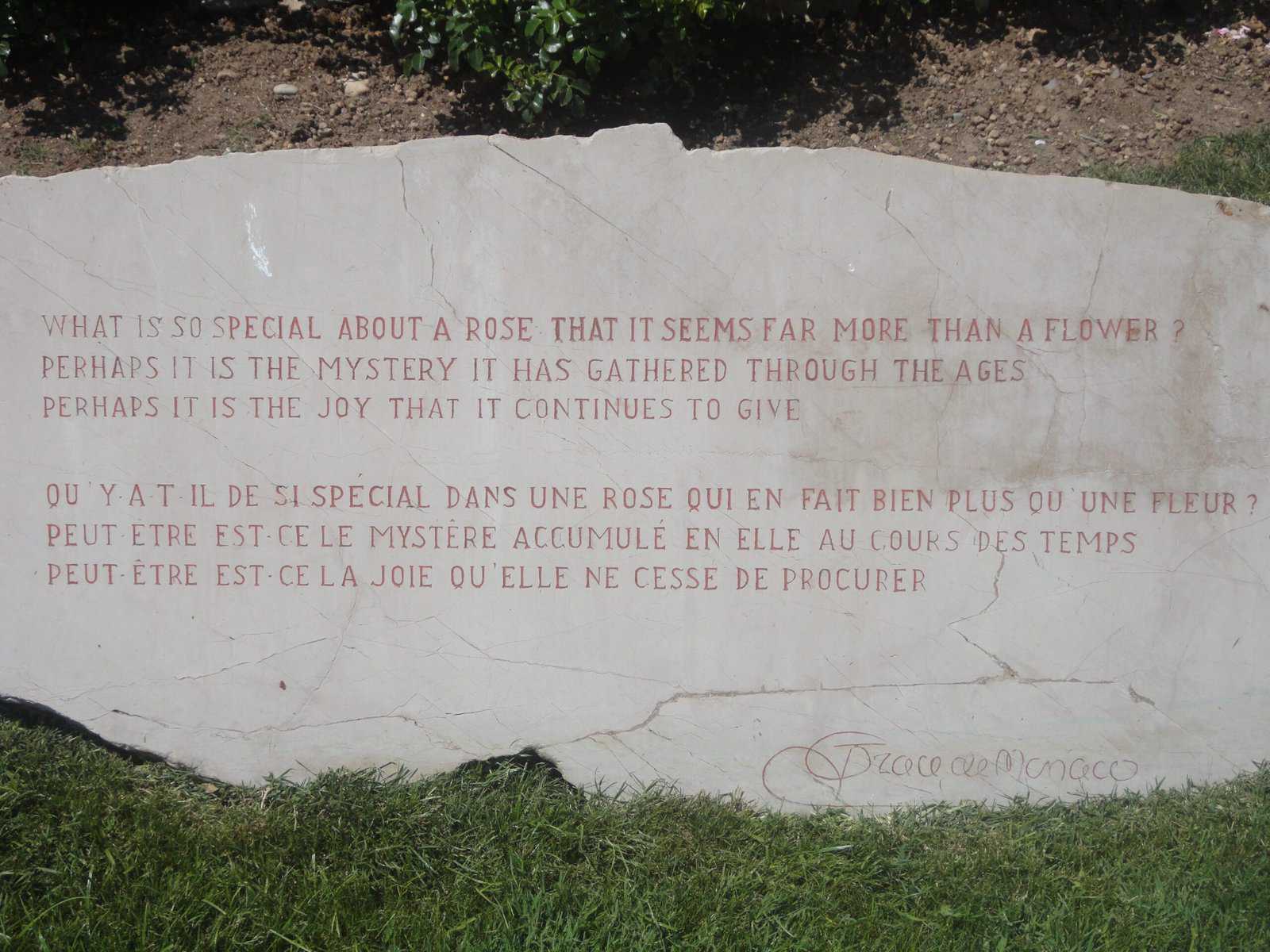 rose garden 0161