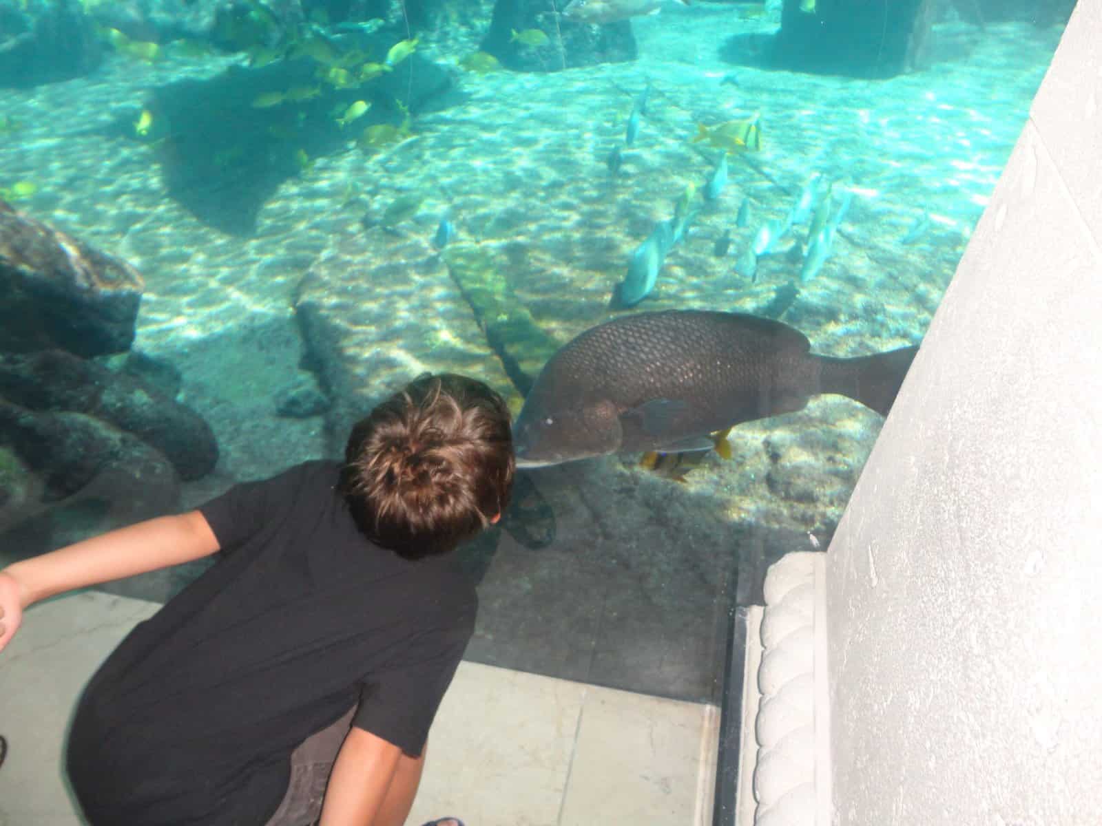 Fish Kiss 041