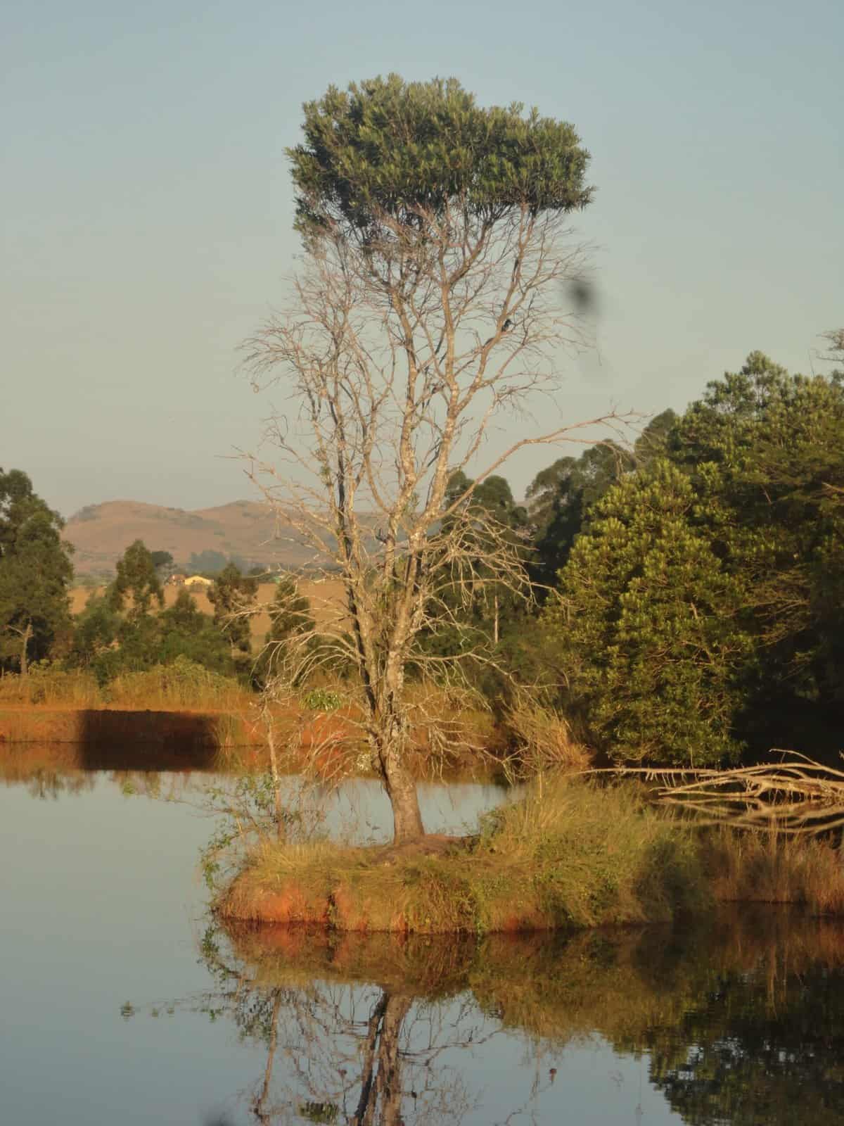 Week 1 in Swaziland 4 Image