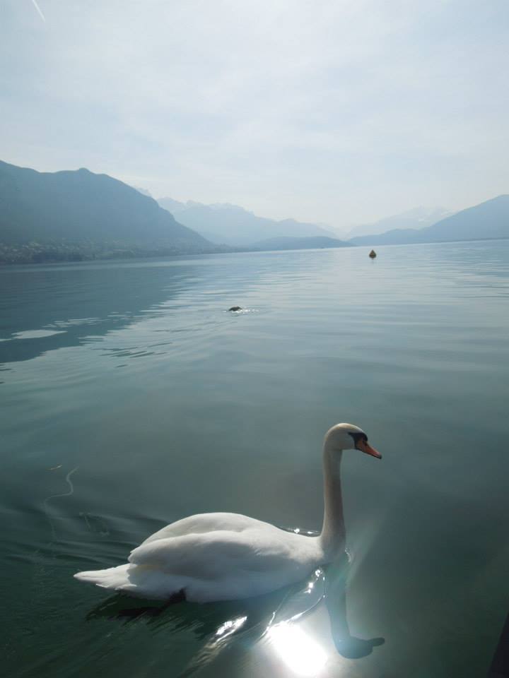 Ou Est le Fromage? Adventures in Switzerland and Annecy 16 1977195 10152055807958932 1506821425 n