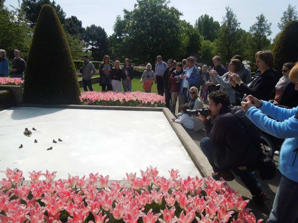 Enjoying Keukenhof in Amsterdam 11 10351608 10152121311123932 4125847457521324371 n