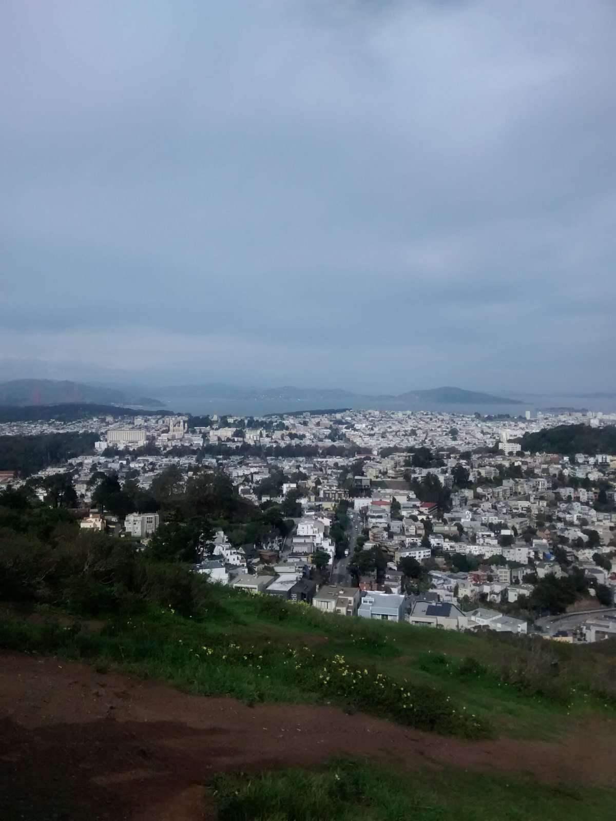 The stunning view from Twin Peaks! Our first sight of Frannie was off to a good start :) 