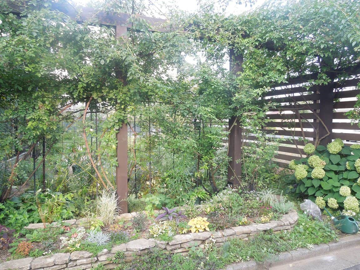 Meet the Kosekis - My Host Family in Japan! 3 My host family's garden in Tokyo