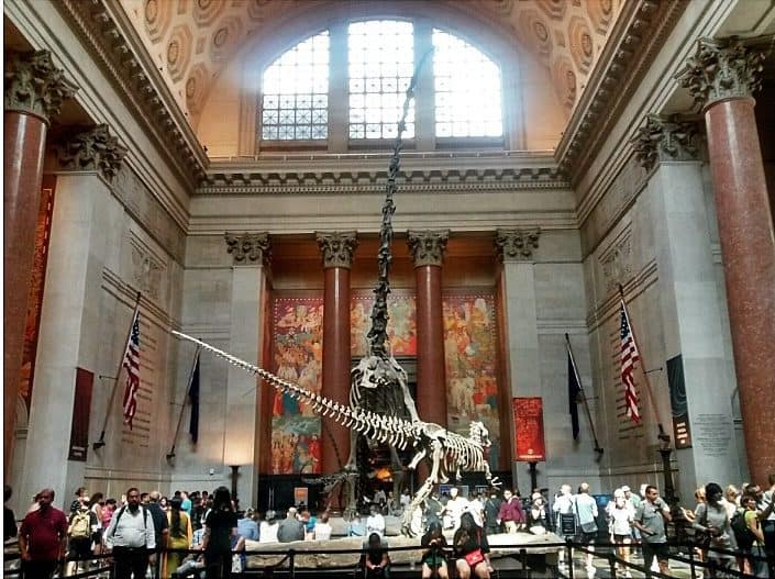 New York City: Must Sees & Maybe Passes 7 Dinosaur bones at the American Museum of Natural History