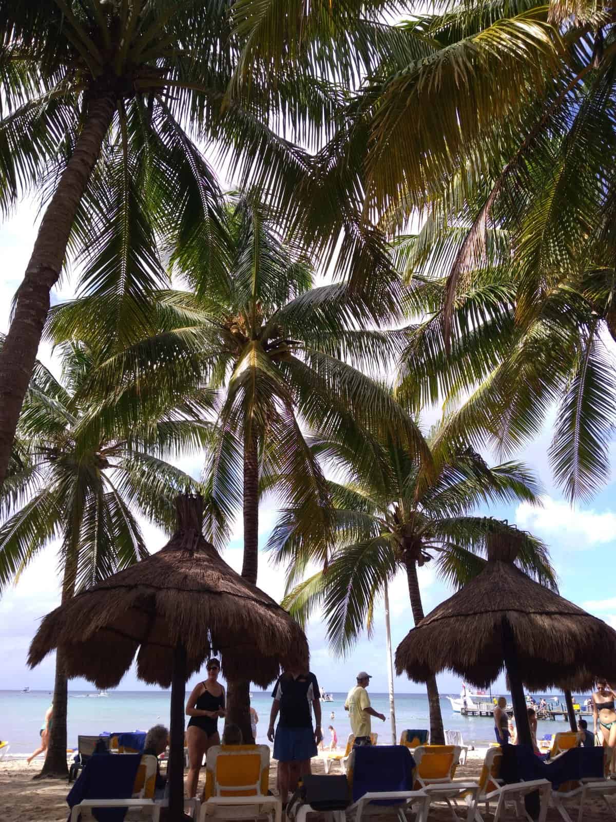 A Family-Filled December 3 Palm trees on the beach in Cozumel, Mexico
