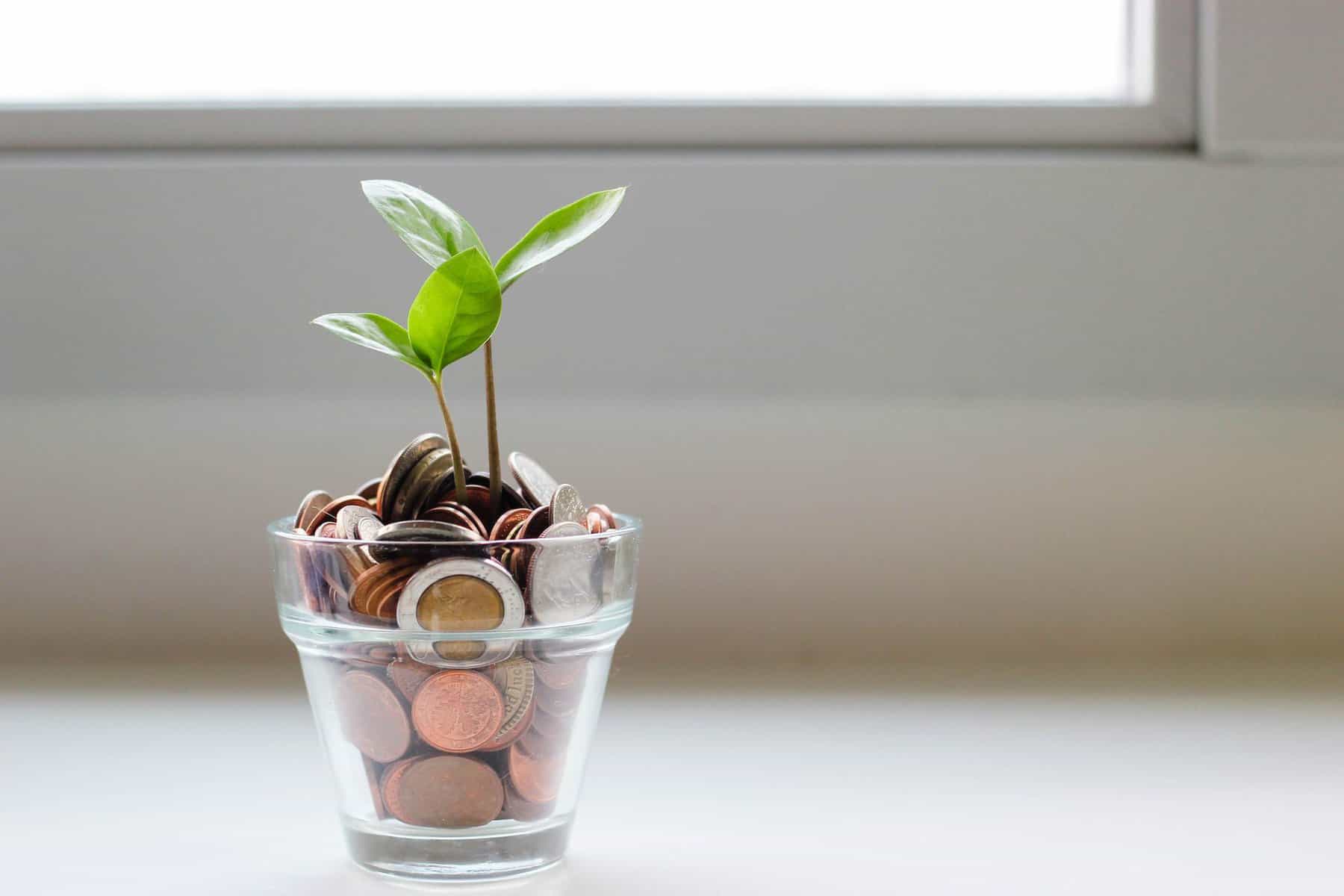 7 Tips for Managing Finances as a Couple 5 A small pot of coins with a plant growing out of it
