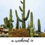 A Weekend in Scottsdale, Arizona 16 scottsdale