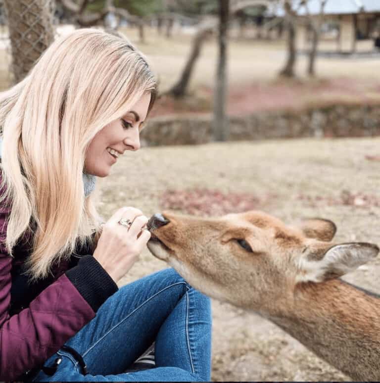 12 Travel Bloggers Who Will Inspire You to See the World 12 Lauren