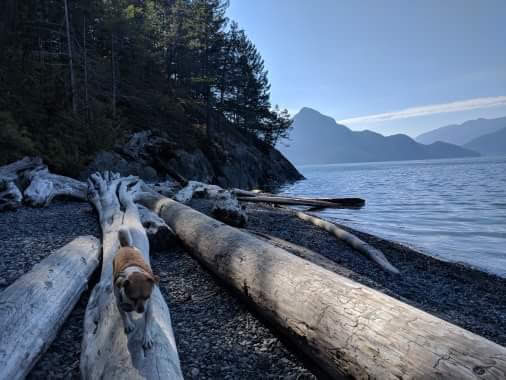 2018: A Year in Review 12 IMG 1381