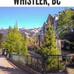 Whistler pin1