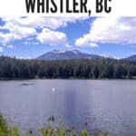 Whistler pin2