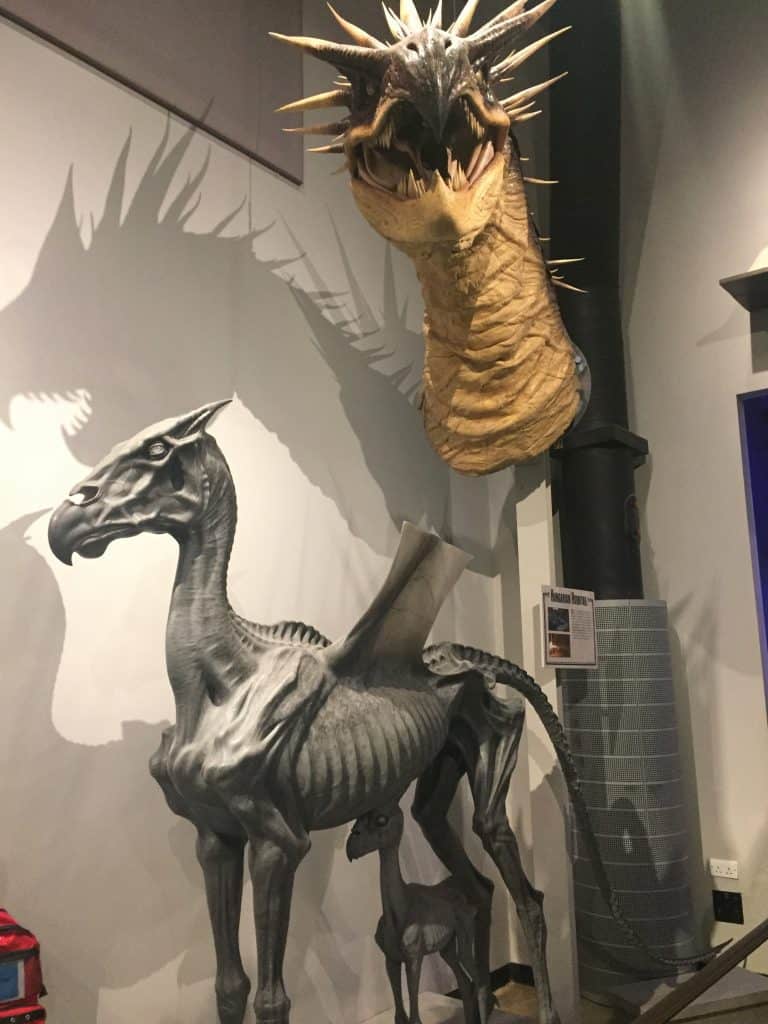 IMG 1654