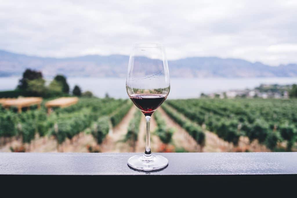 My 2018 Travel Holiday Gift Guide 18 wine tasting