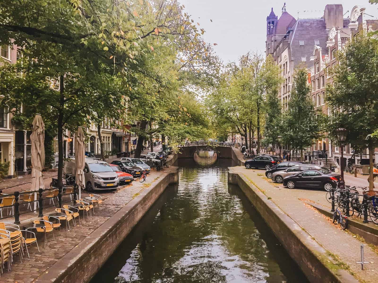 Falling Back in Love with Amsterdam 10 Amsterdam canal with cars and trees lining the side streets