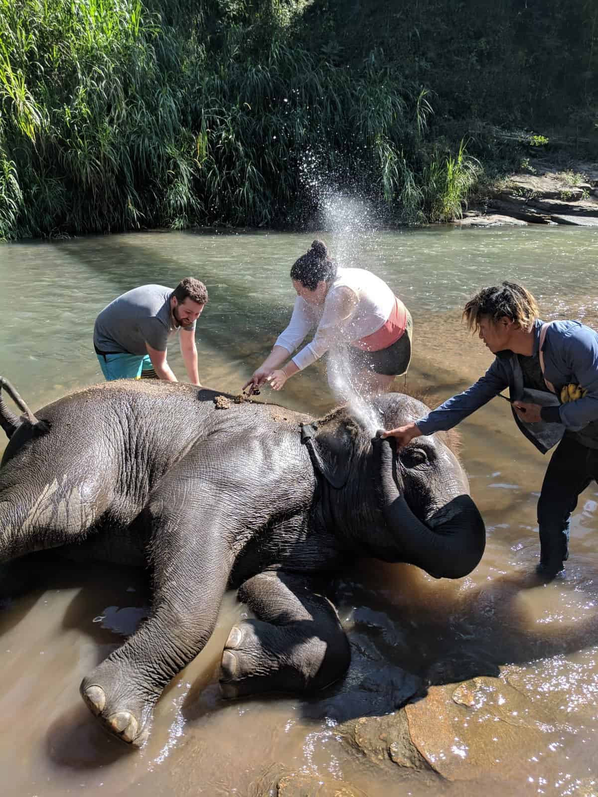 The Best and Worst of Southeast Asia 7 Putting mud on an elephant at Chai Lai Orchid in Thailand while the elephant sprays water in our faces