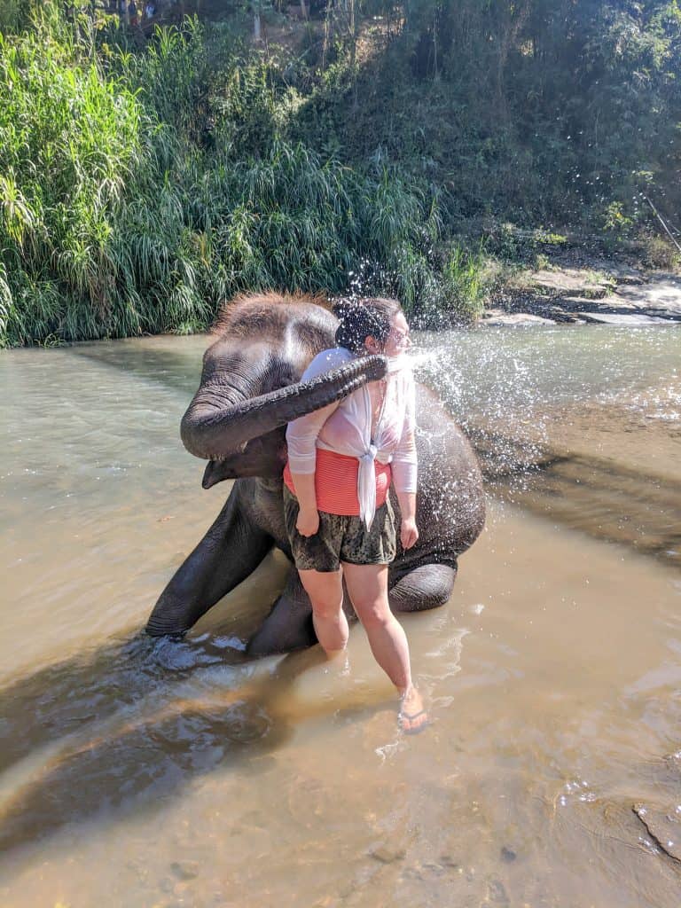 My Time with Elephants in Chiang Mai 14 IMG 20190206 105447