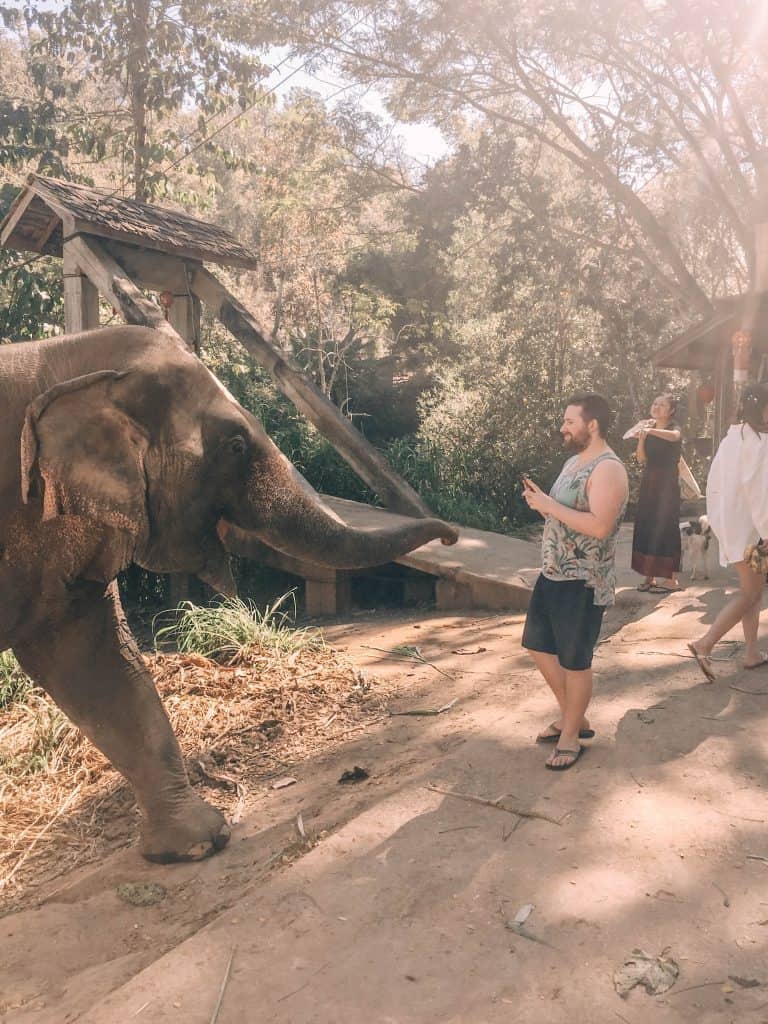 My Time with Elephants in Chiang Mai 15 IMG 4456
