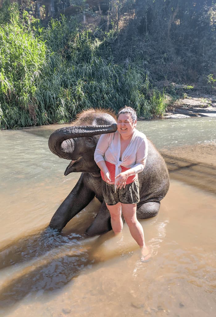 My Time with Elephants in Chiang Mai