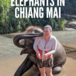 My Time with Elephants in Chiang Mai 17 Hanging out with elephants in Chiang Mai is a Thailand bucket list item. But what is the experience really like? #travel #thailand
