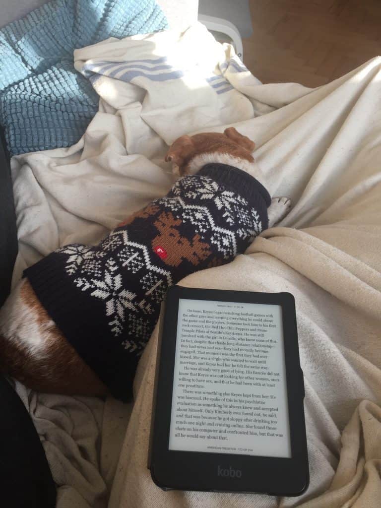 Reading on the couch