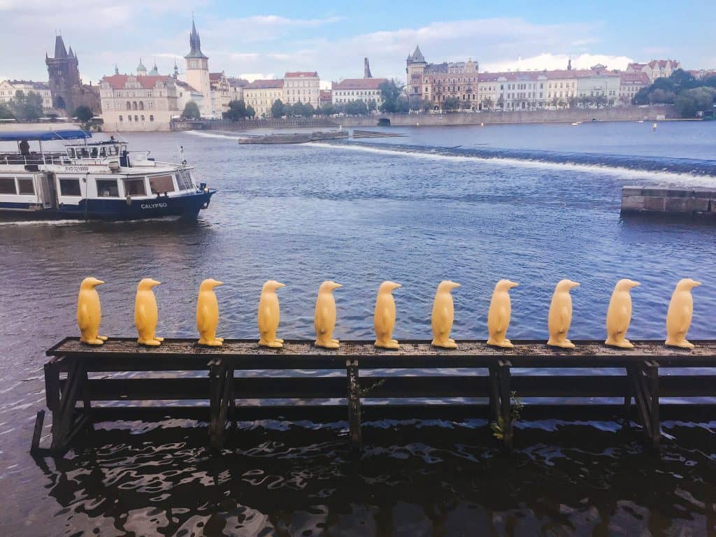 Prague penguins