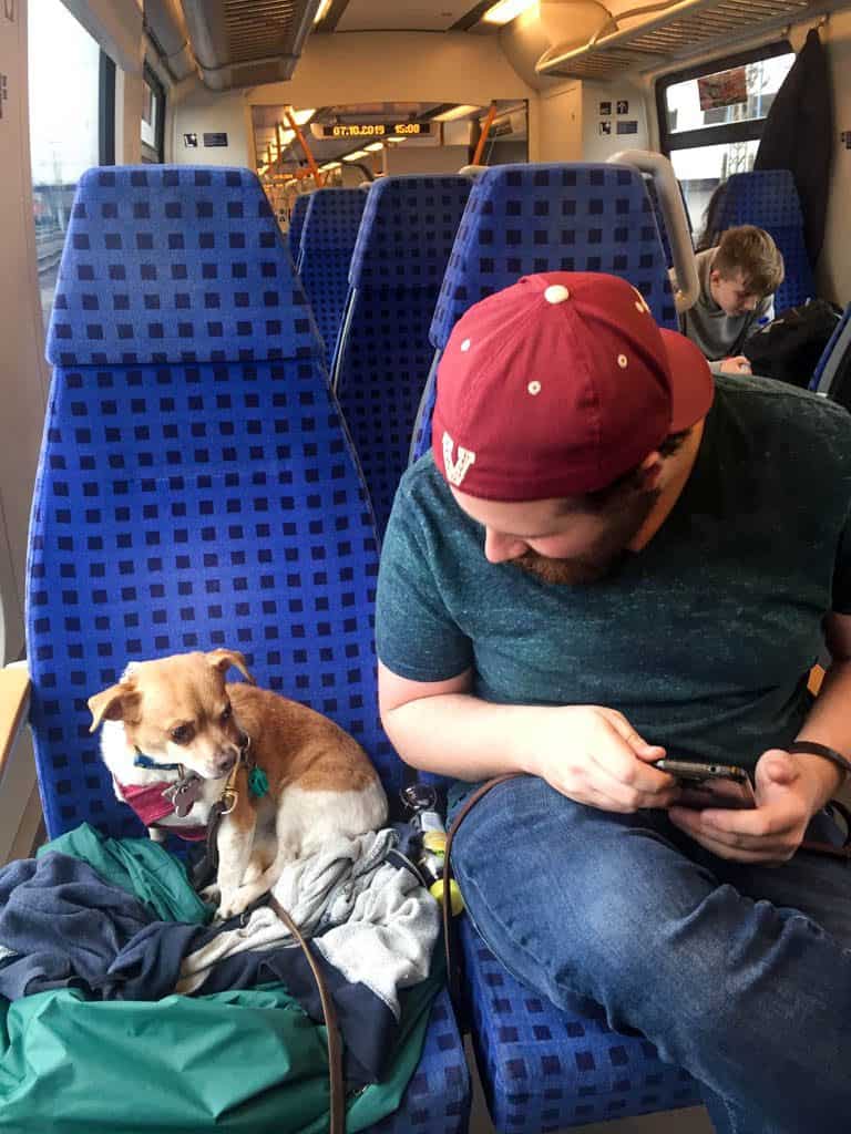What Is There to Do in Nuremberg? 39 S Bahn in Nuremberg