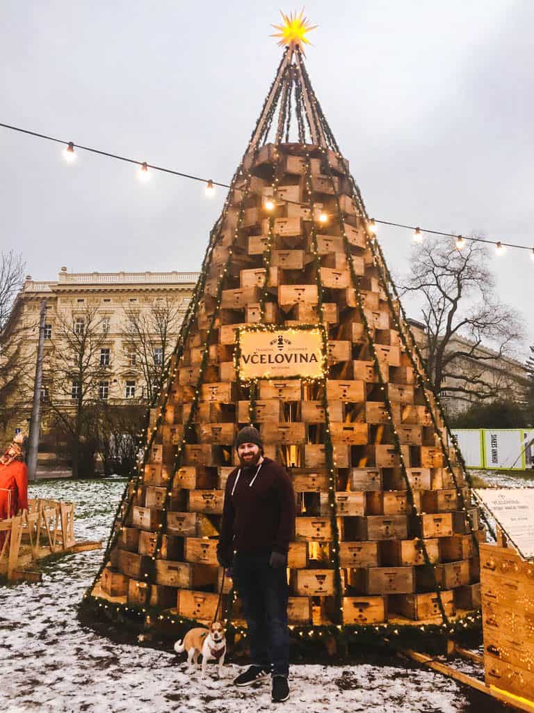 Brno Christmas Market
