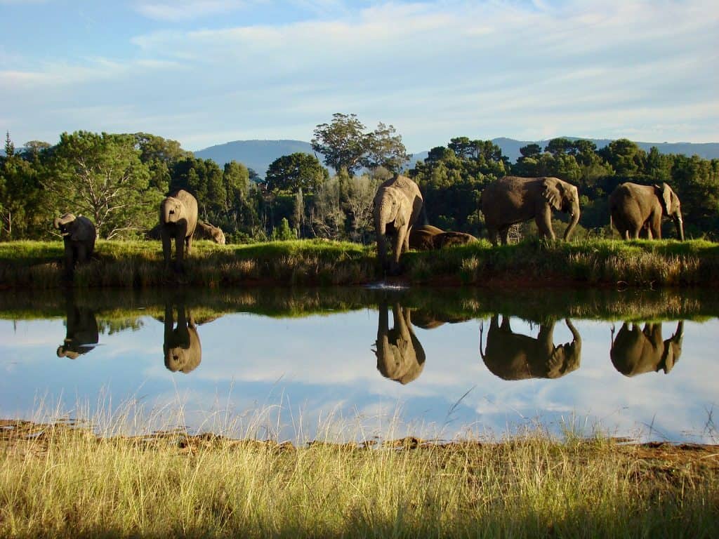 Traveller of the Month: Angie from Where Angie Wanders 3 Angie4