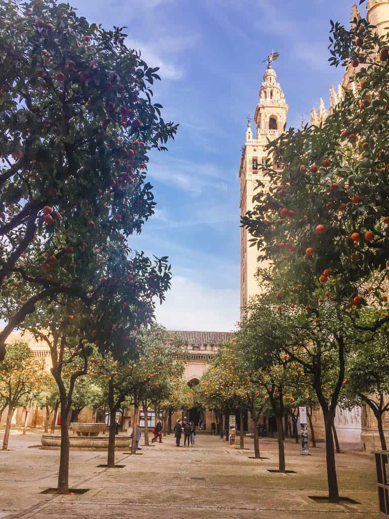 Falling in Love with Seville 11 Orange grove at the Seville Cathedral