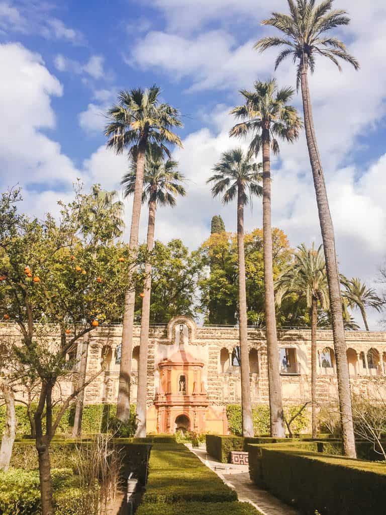 Falling in Love with Seville 21 Palm trees in the gardens of the Royal Alcazar of Seville