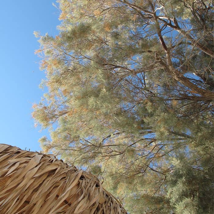 Travellers of the Month: Alex & Vicky from Clock Out Check In 7 3 Greece