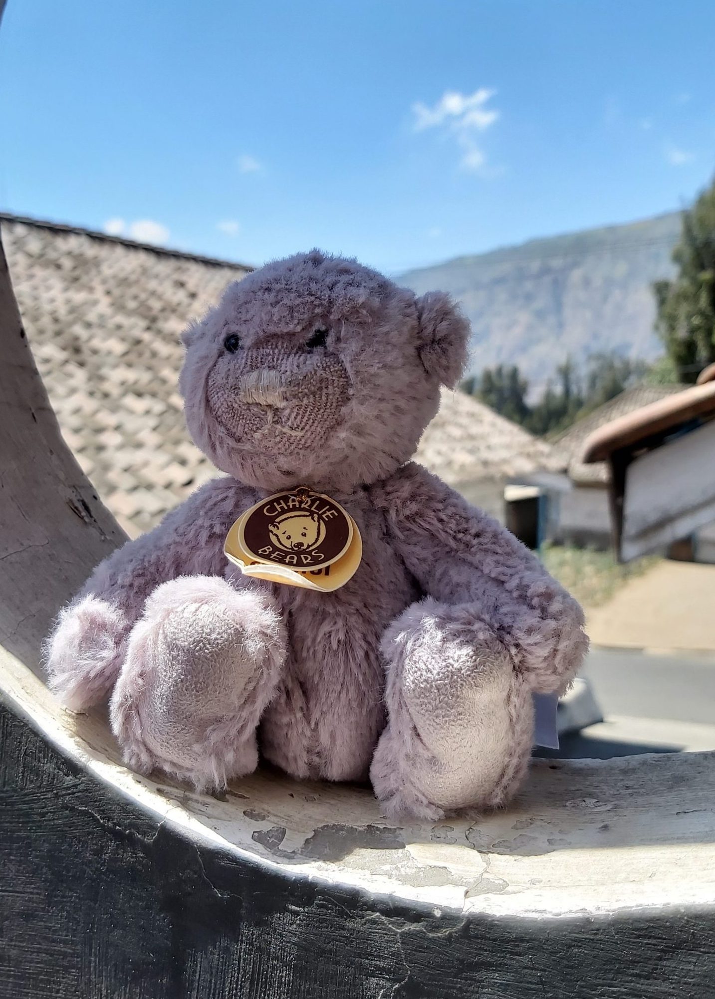 Traveller of the Month: Rachel from The Historic Traveller 6 Rachel alexander bear scaled e1592893778121