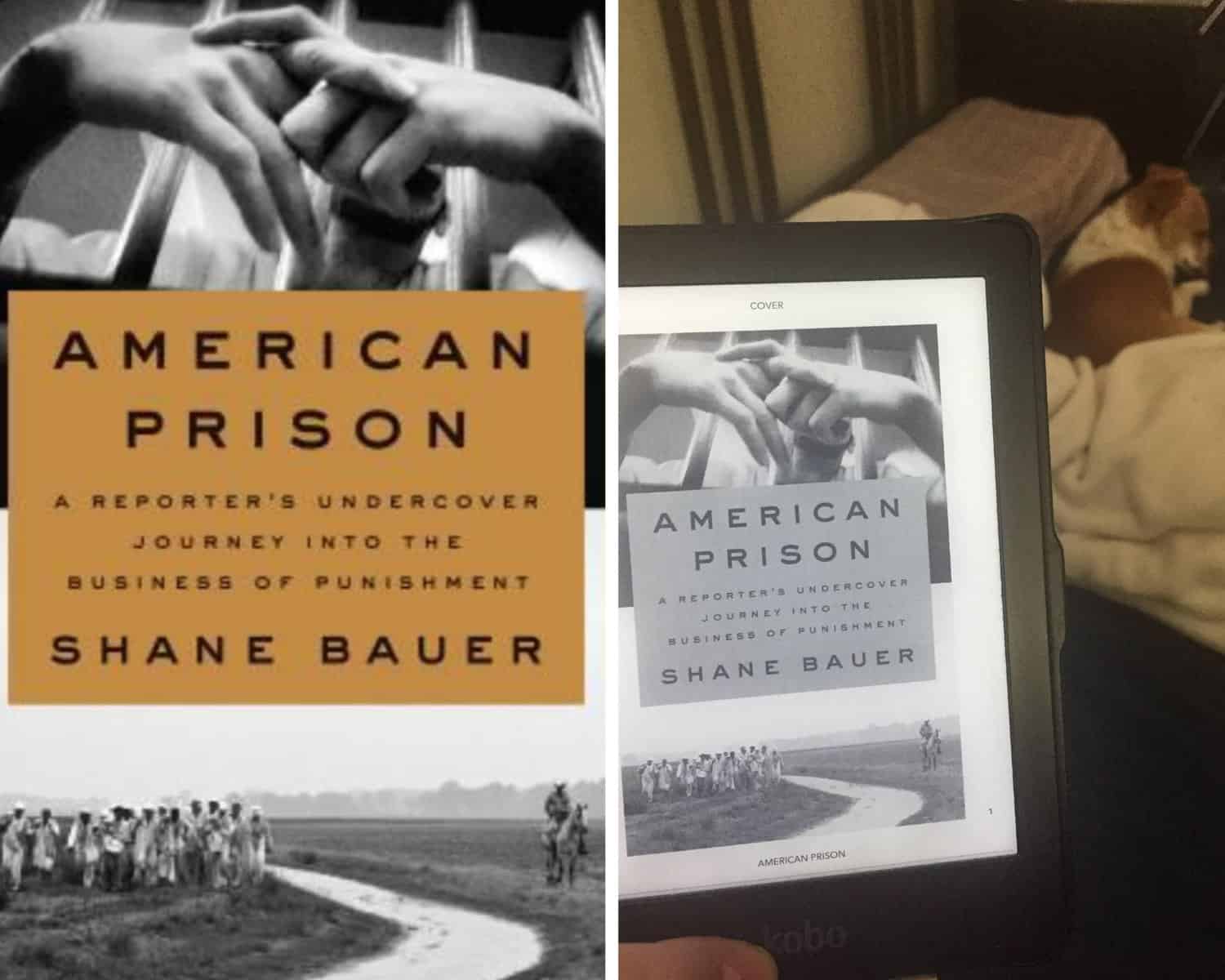 Reading Wrap Up: August 2020 3 American Prison