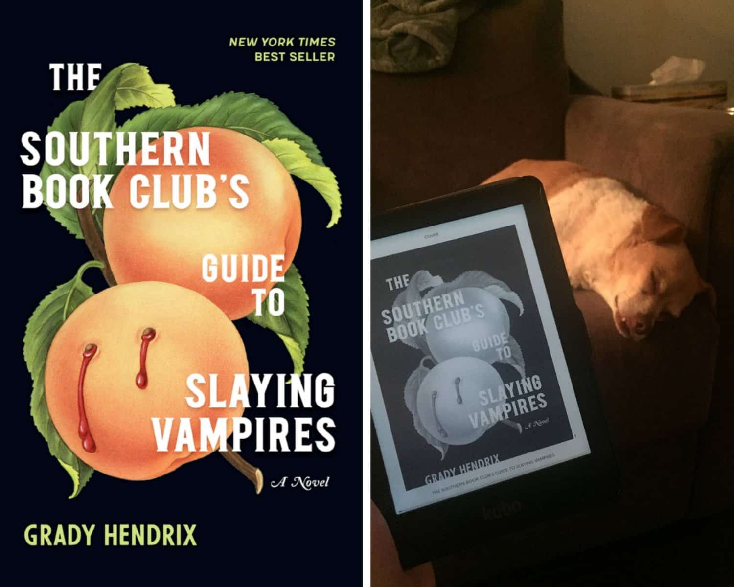Reading Wrap Up: September 2020 4 The Southern Book Club's Guide to Slaying Vampires by Grady Hendrix