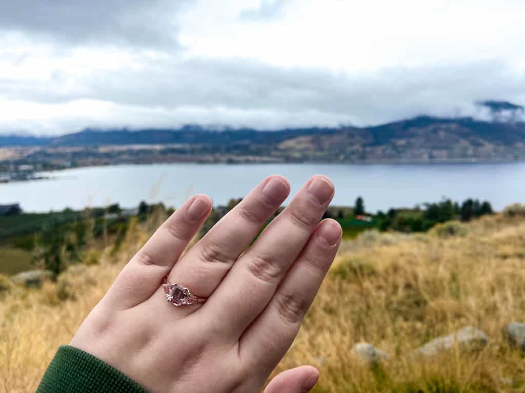 We're Engaged! 8 Ring selfie on Mount Munson, Penticton