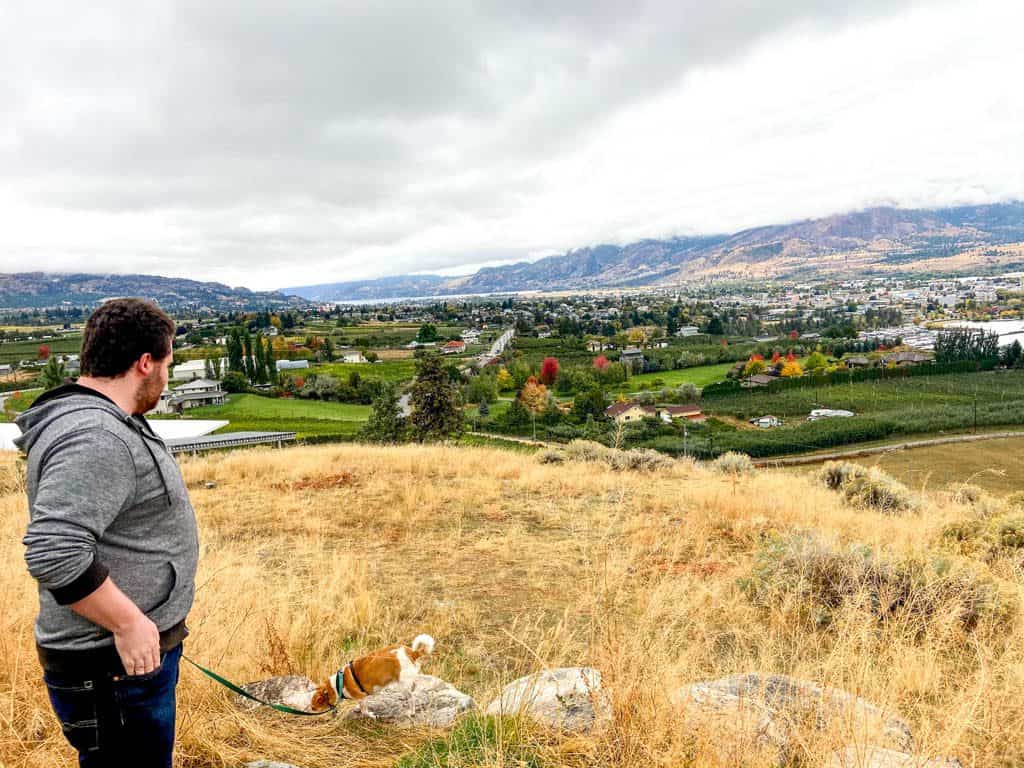 Our dog at Munson Mountain, Penticton, BC