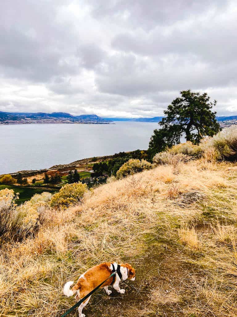 Munson Mountain, Penticton, BC