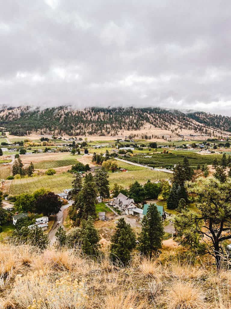 view from Mount Munson, Penticton
