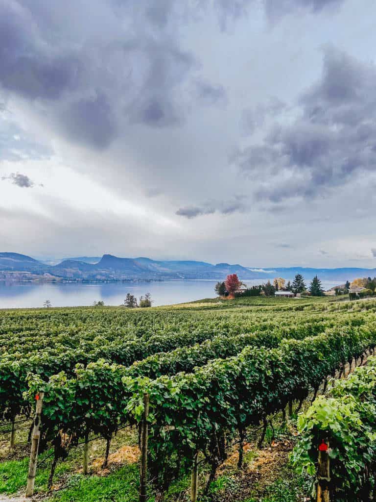 Moraine Estate Winery, Penticton, BC