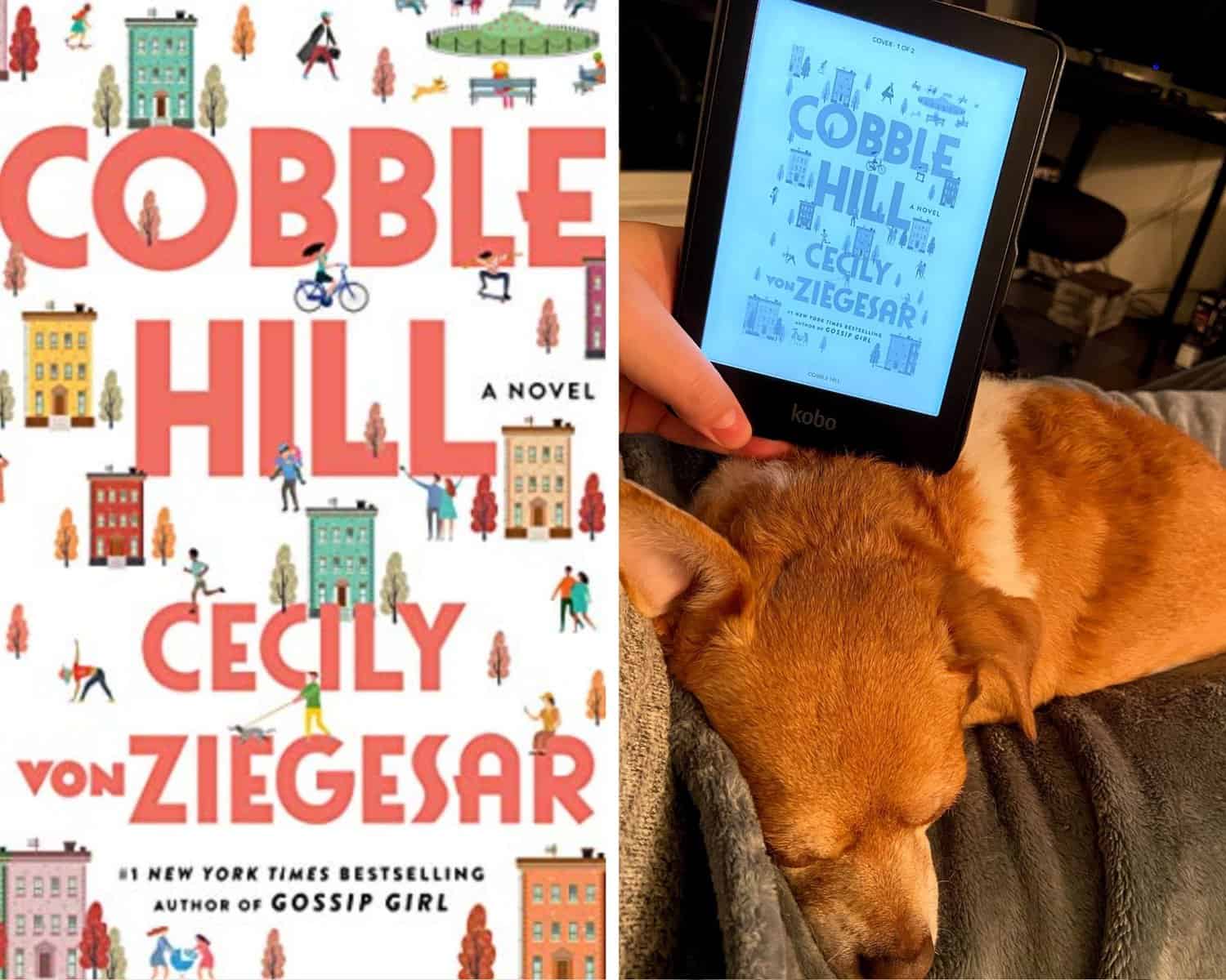 Reading Wrap Up: December 2020 7 Cobble Hill