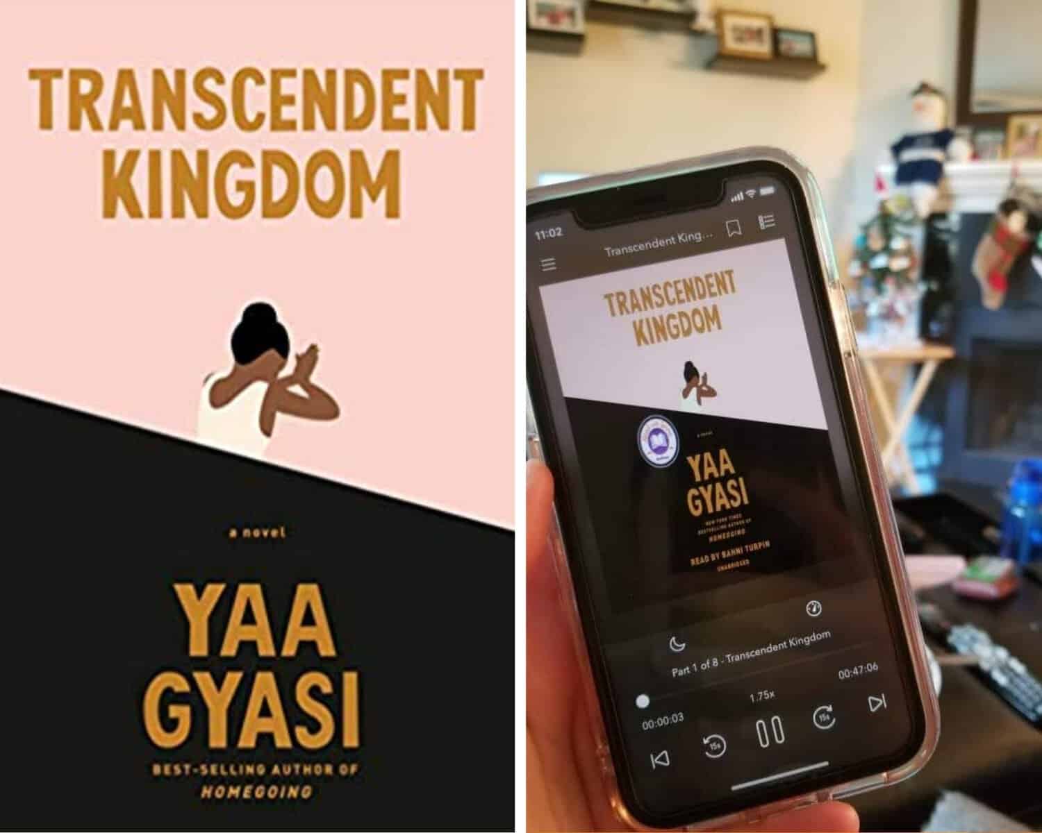 Reading Wrap Up: December 2020 8 Transcendent Kingdom