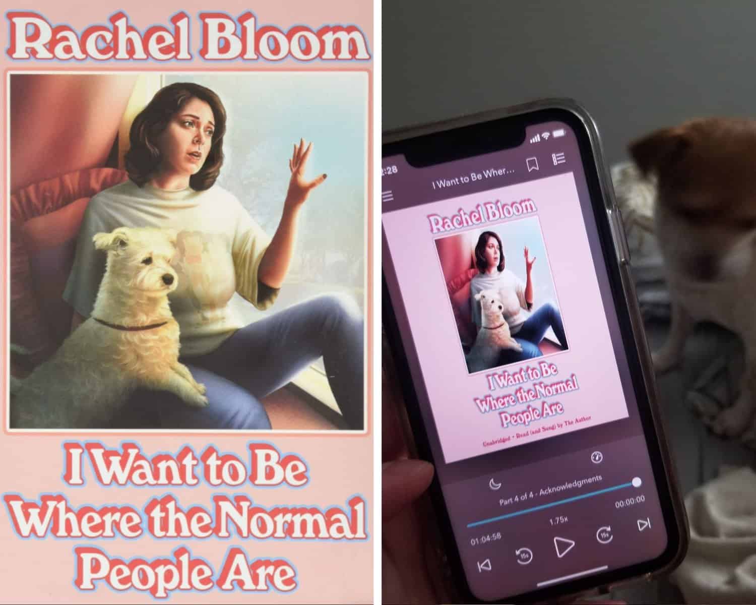 Reading Wrap Up: February 2021 8 I Want to Be Where the Normal People Are by Rachel Bloom