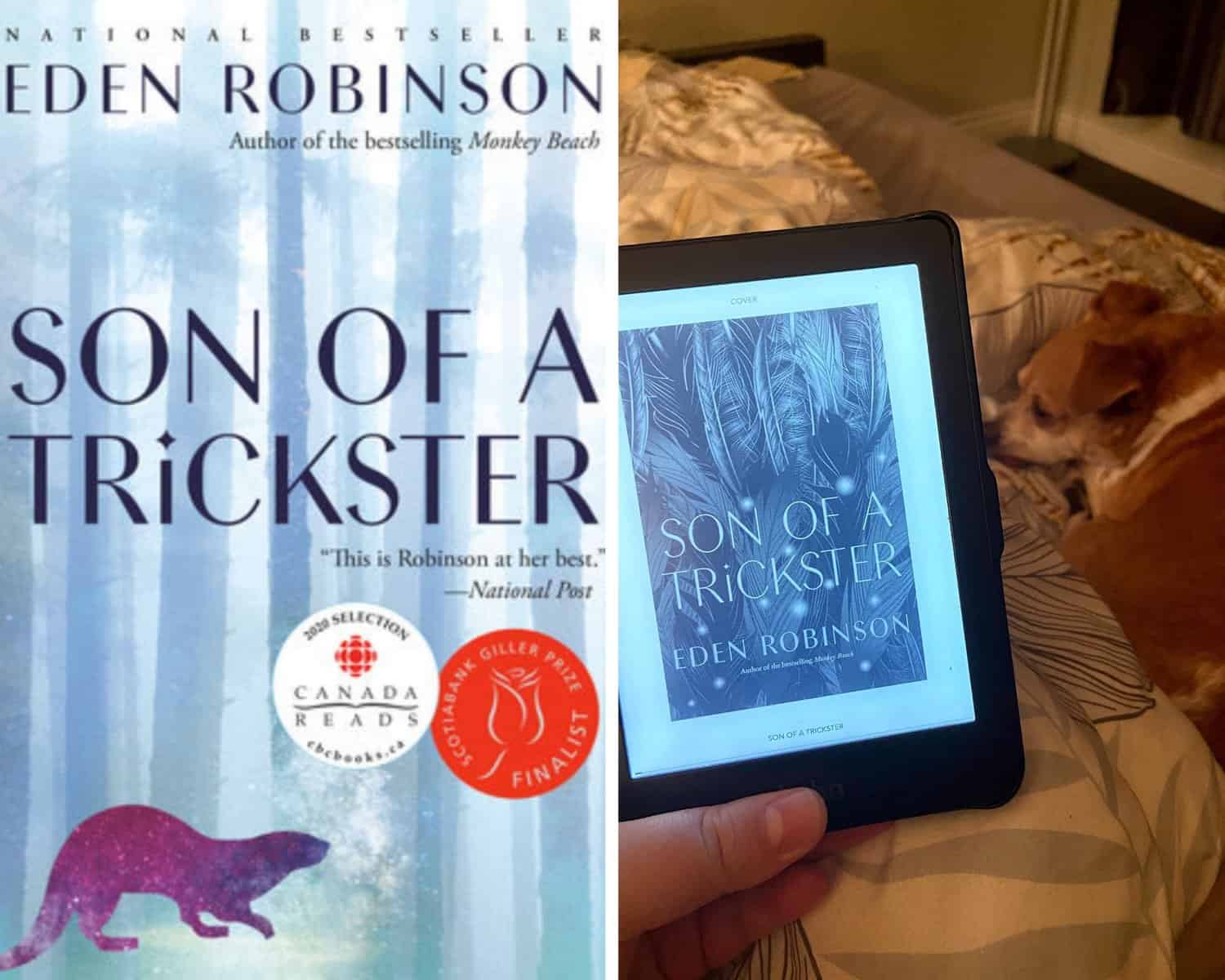 Reading Wrap Up: May 2021 3 Son of a Trickster by Eden Robinson