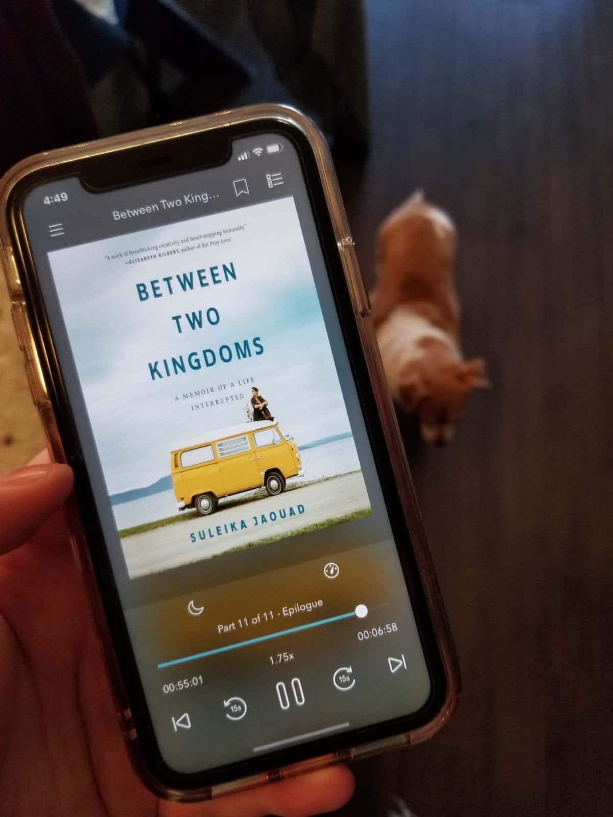 40+ Beach Reads for Every Reading Mood 18 Audiobook of Between Two Kingdoms by Suleika Jaouad