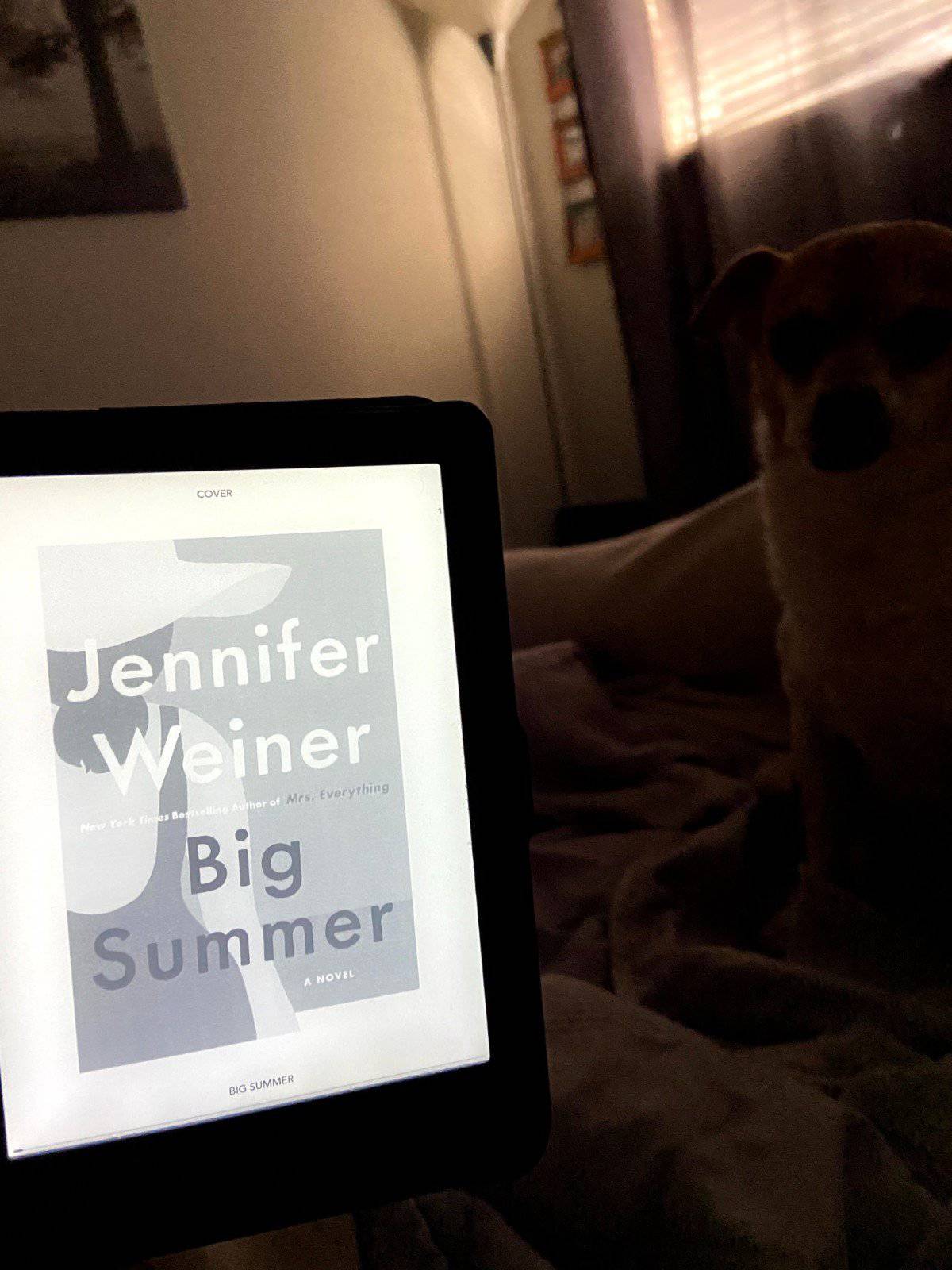 40+ Beach Reads for Every Reading Mood 10 Ebook of Big Summer by Jennifer Weiner