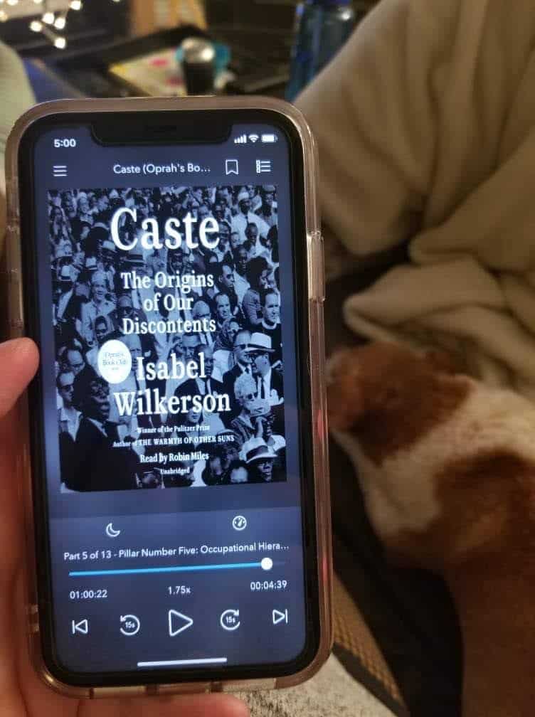 40+ Beach Reads for Every Reading Mood 28 Audiobook of Caste by Isabel Wilkerson