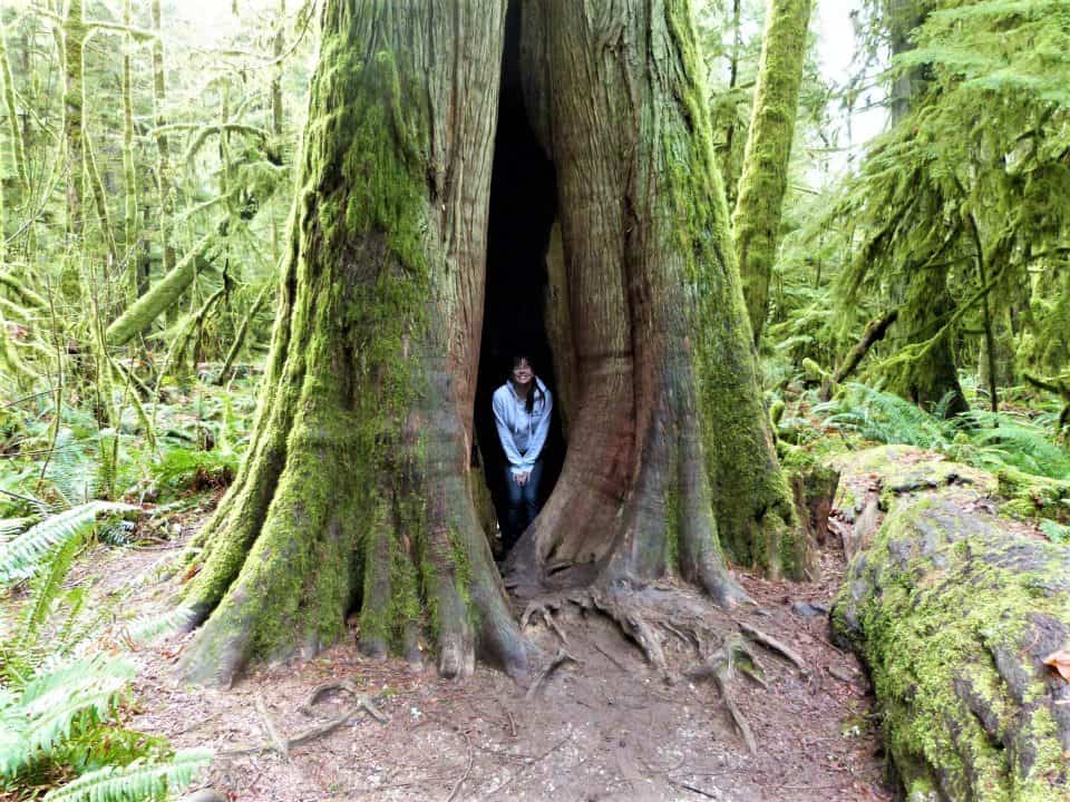 Traveller of the Month: Nicole from Wandering with a Dromomaniac 3 Traveller of the Month Nicole at Cathedral Grove