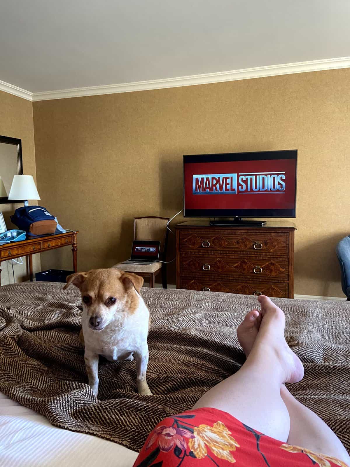 Vancouver staycation anniversary
