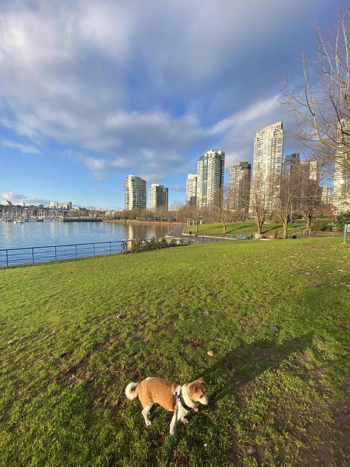 Welcome Home! Our Yaletown, Vancouver Apartment Tour 3 Ellie at David Lam Park in Yaletown