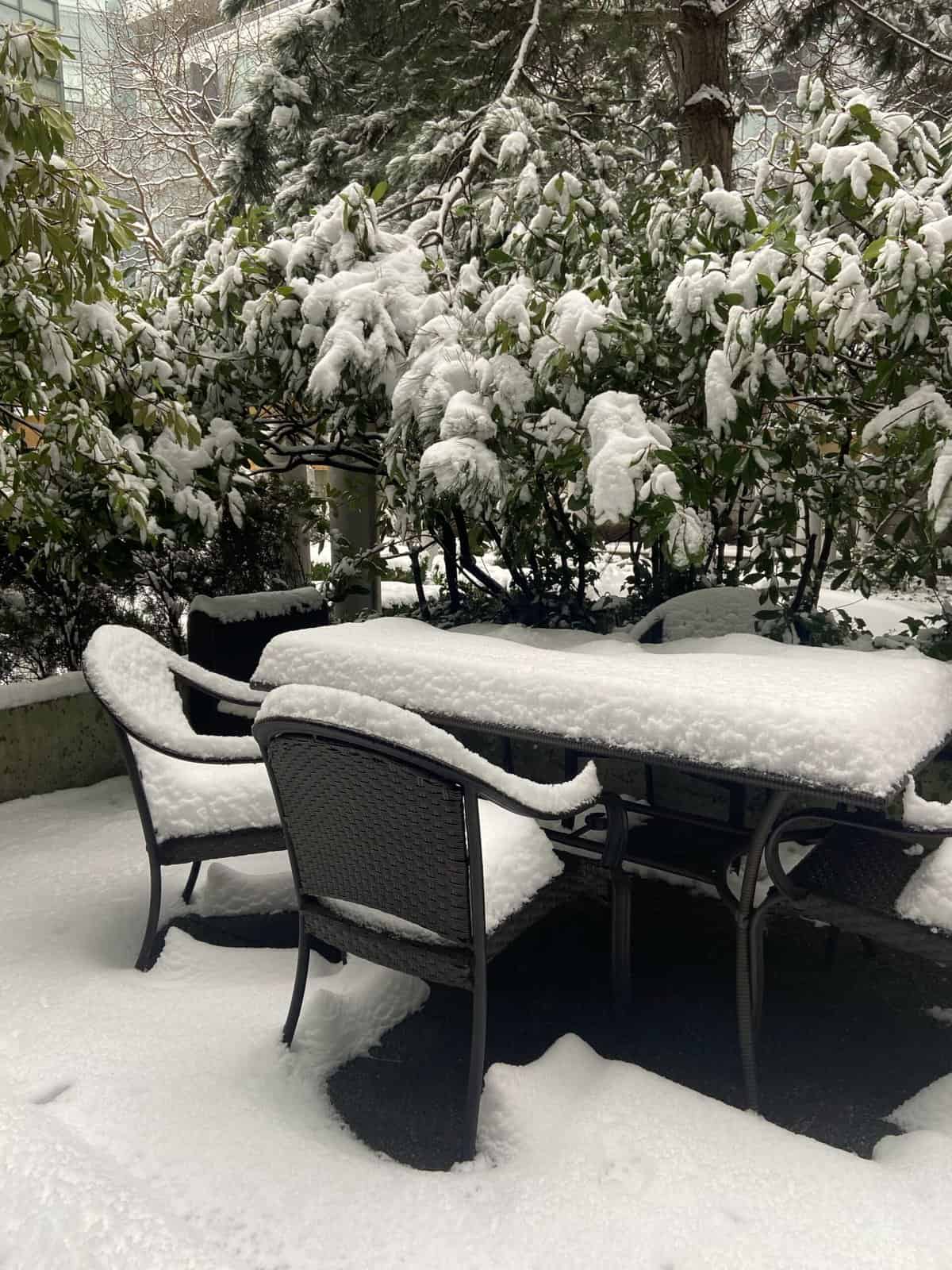 Month in Review: January 2022 3 snow day in Vancouver